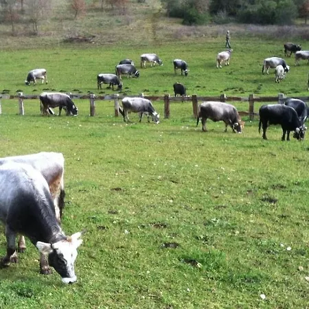 Lantgård Amicizia *