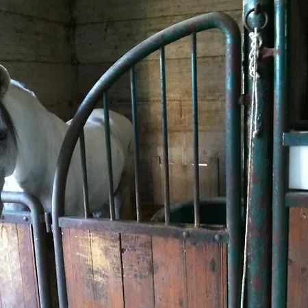 Lantgård Amicizia *