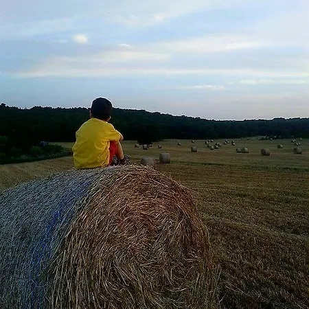 Lantgård Amicizia *