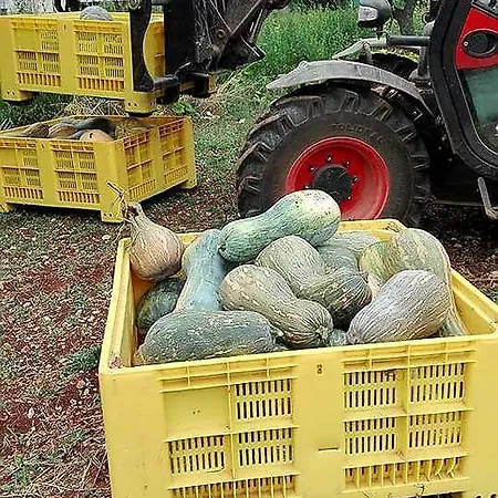 Lantgård Amicizia *