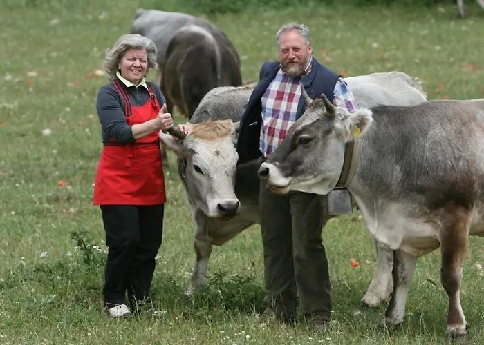 Agroturismo Amicizia *