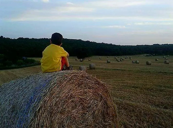 Çiftlik konaklama Amicizia *